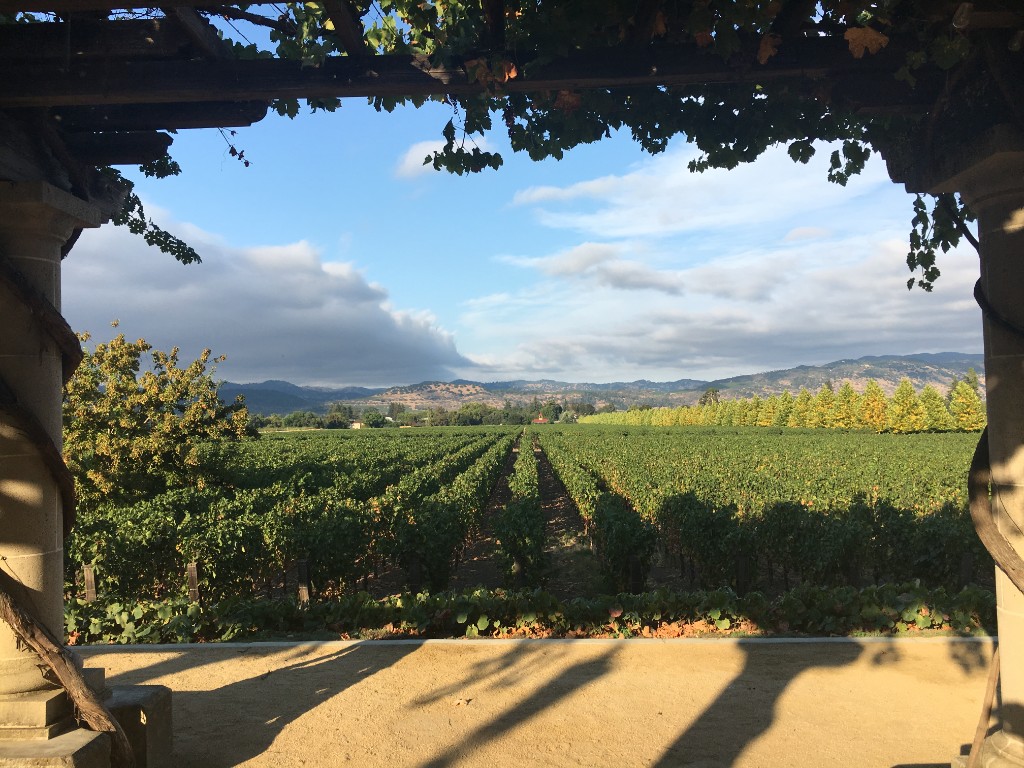 Vineyard viewed through stone columns and wooden pergola beams